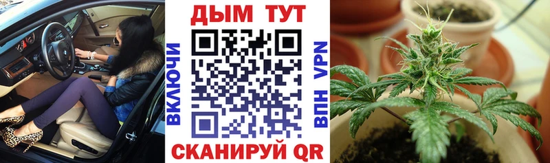 Шишки марихуана семена Советская Гавань